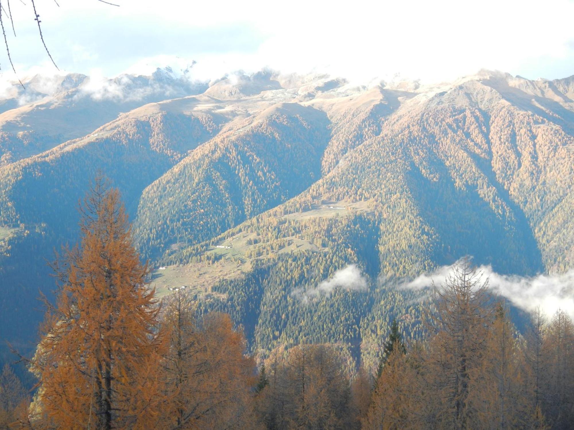 Villetta Val Di Sole Commezzadura Ngoại thất bức ảnh