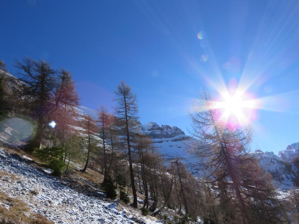 Villetta Val Di Sole Commezzadura Ngoại thất bức ảnh